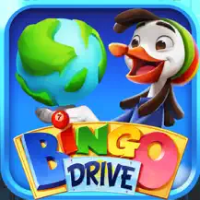 Bingo Drive: Play Online & Win